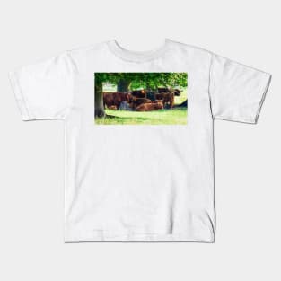 Highland cattle cows family having a rest in the cool shadow under trees Kids T-Shirt